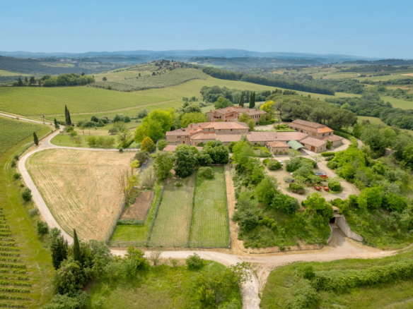 Azienda Vitivinicola con Vigneti