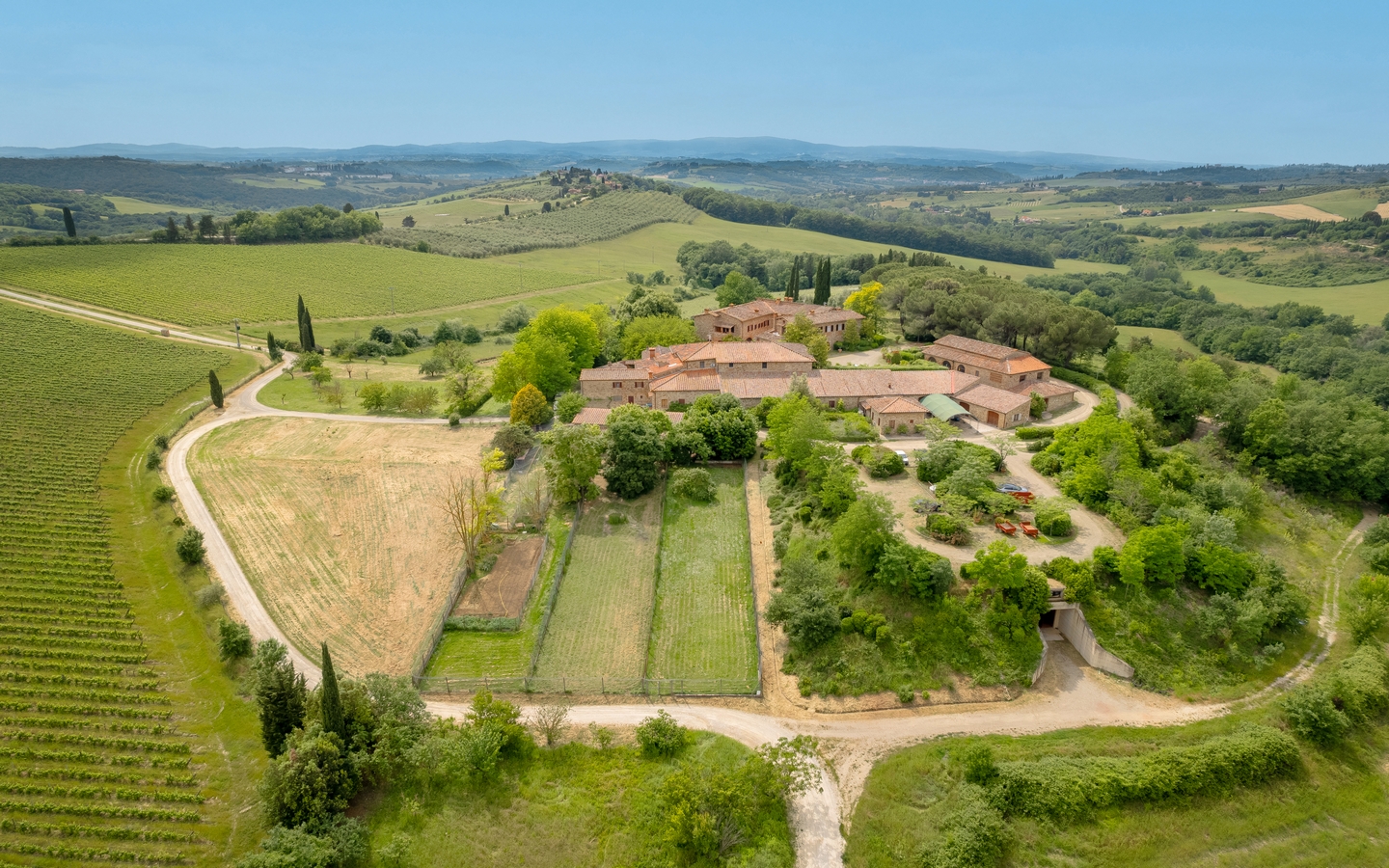 Azienda Vitivinicola con Vigneti, Agriturismo, Villa Padronale, Piscina E Ristorante A Castellina In Chianti