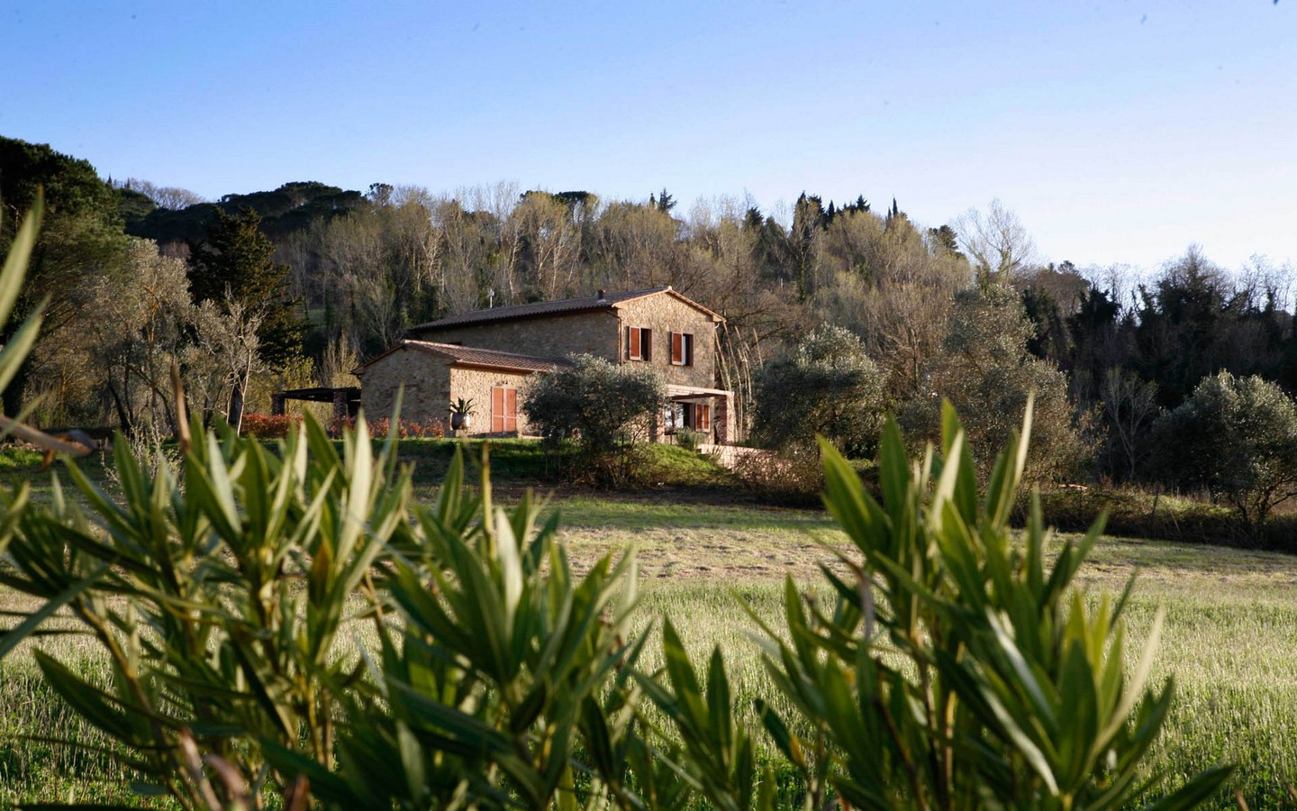 Bondegård i stein med basseng og stor tomt på den toskanske landsbygda