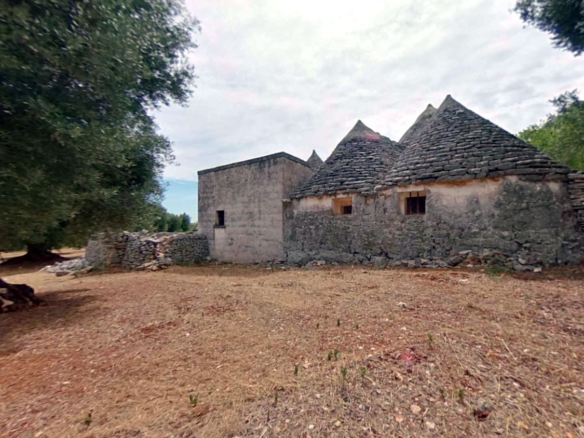 Complesso Di Trulli E Lamie Con Ulivi Secolari