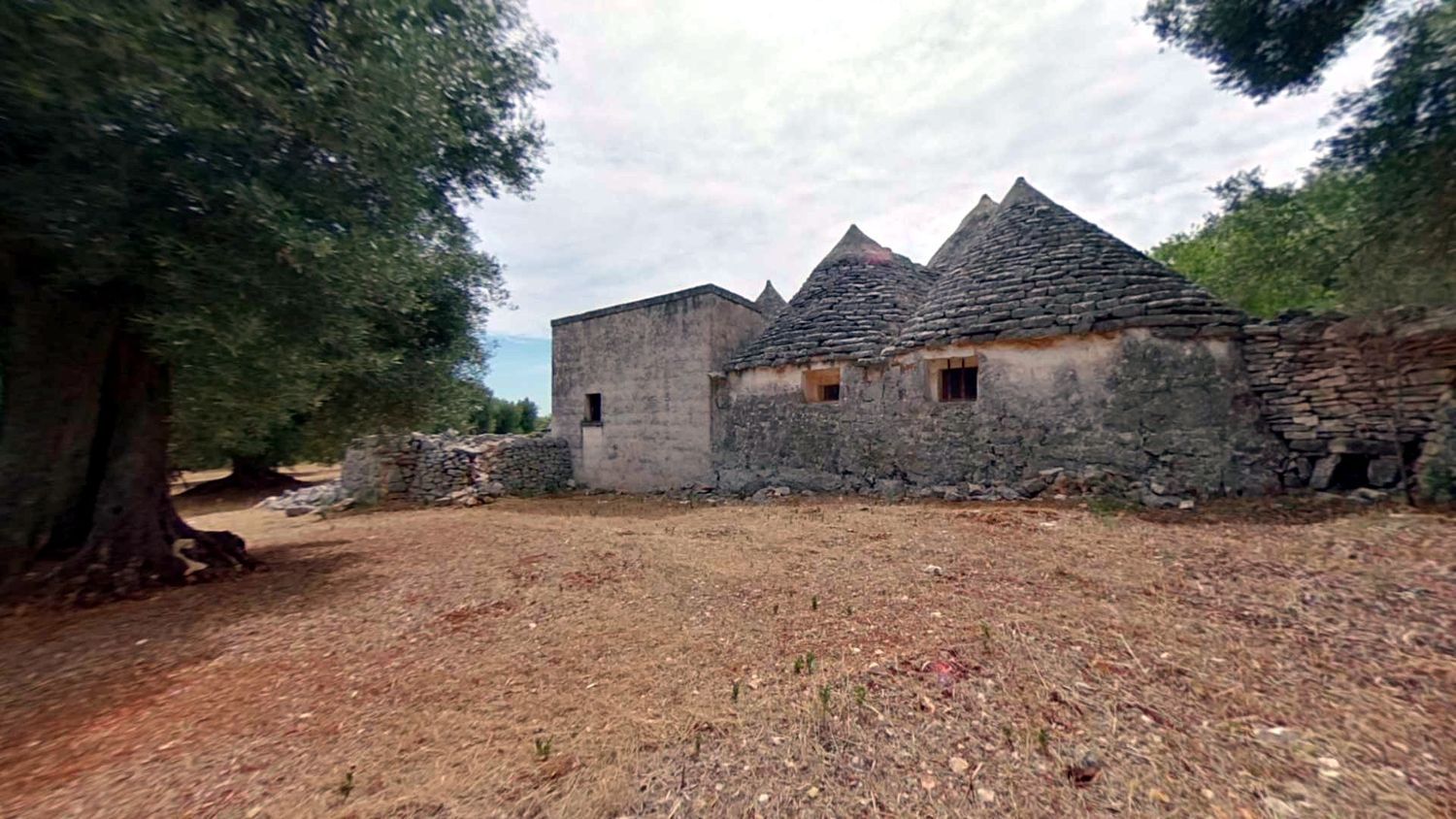 Complesso Di Trulli E Lamie Con Ulivi Secolari, Puglia