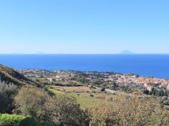 Nuova Costruzione A Pochi Metri Dal Centro Di Tropea E Dal Mare