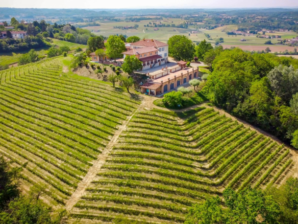 Prestisjefylt vingård med tidstypisk villa