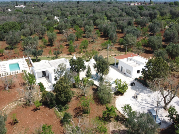 Prestigiosa Residenza Con Piscina Tra Gli Ulivi Della Valle D’Itria