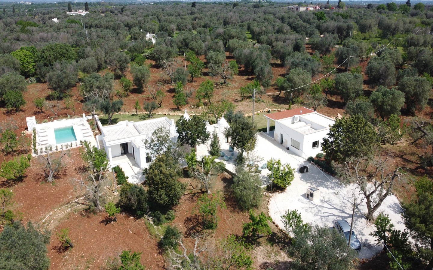 Prestigiosa Residenza Con Piscina Tra Gli Ulivi Della Valle D’Itria