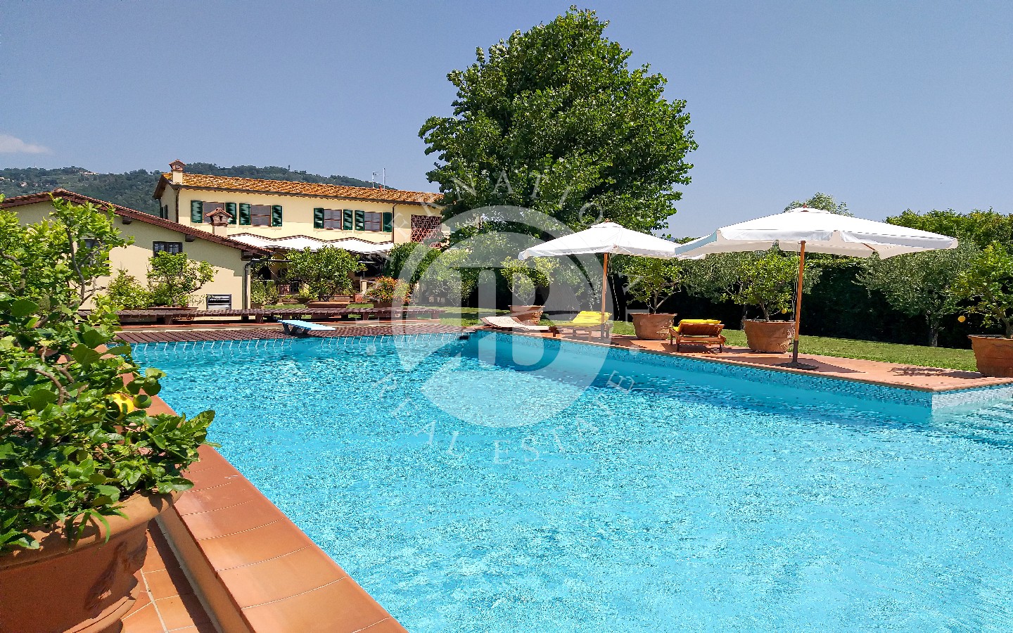 Proprietà Con Piscina E Ampio Giardino Nella Campagna Della Versilia