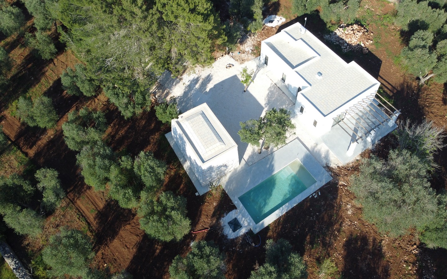 Splendida Proprietà Di Nuova Costruzione Con Piscina, Dependance E Ulivi A Ceglie Messapica