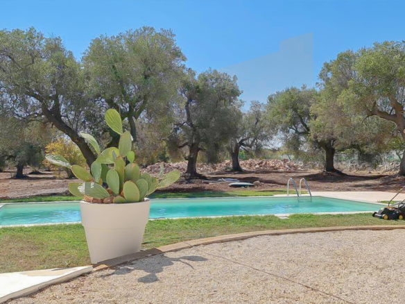 Splendida Villa Con Piscina A San Vito Dei Normanni