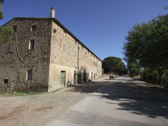 Azienda Agricola Con Vigneto E Uliveto A Grosseto (Toscana)