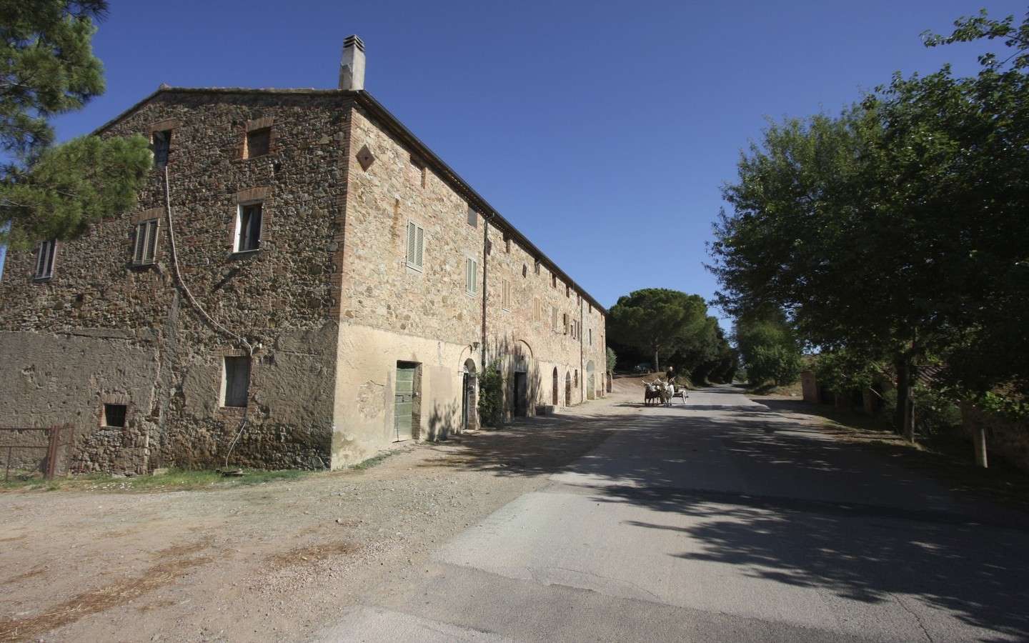 Azienda Agricola Con Vigneto E Uliveto A Grosseto, Toscana