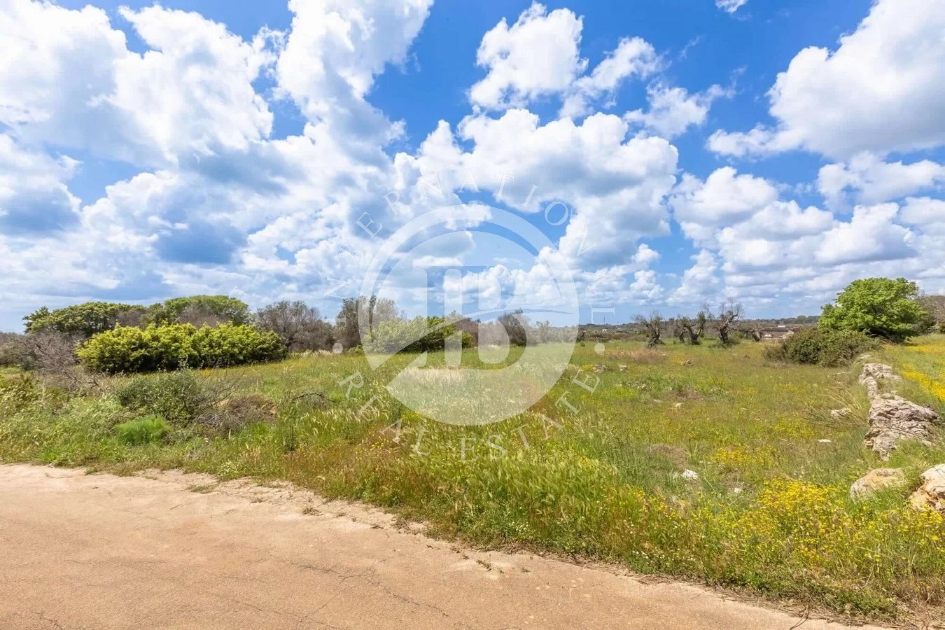 Castrignano Del Capo