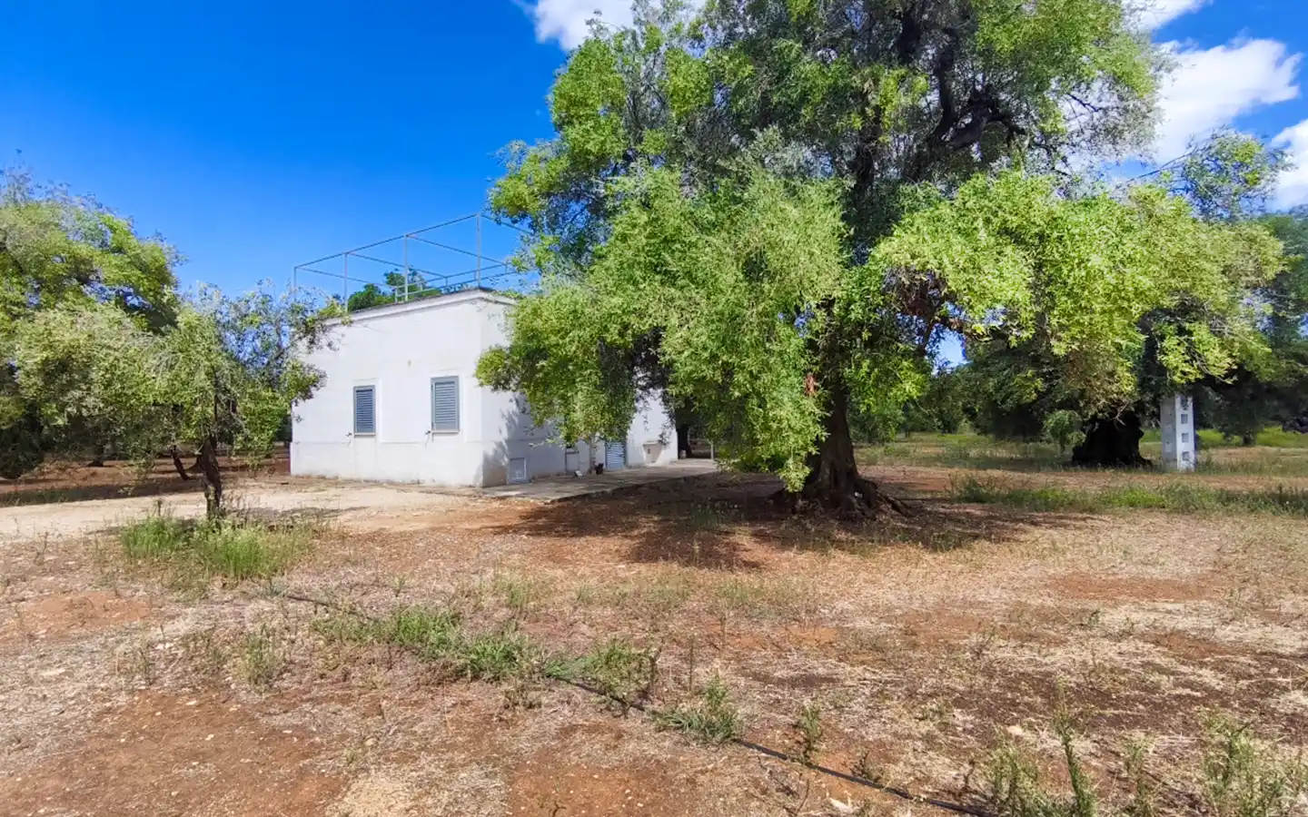 Tipica Lamia con Terrazzo Panoramico in vendita a Savelletri